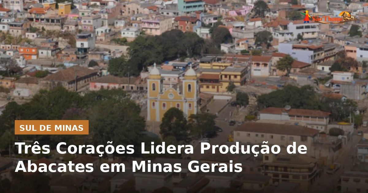 Três Corações Lidera Produção de Abacates em Minas Gerais